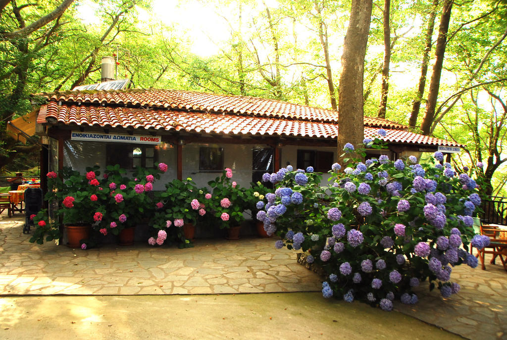 Parselia Rooms Therma  Room photo